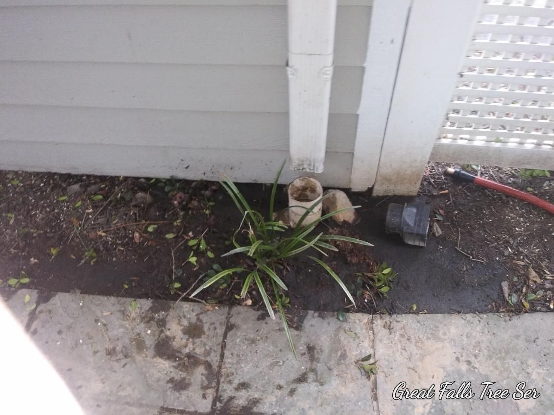 A hose is laying on the ground next to a white fence.