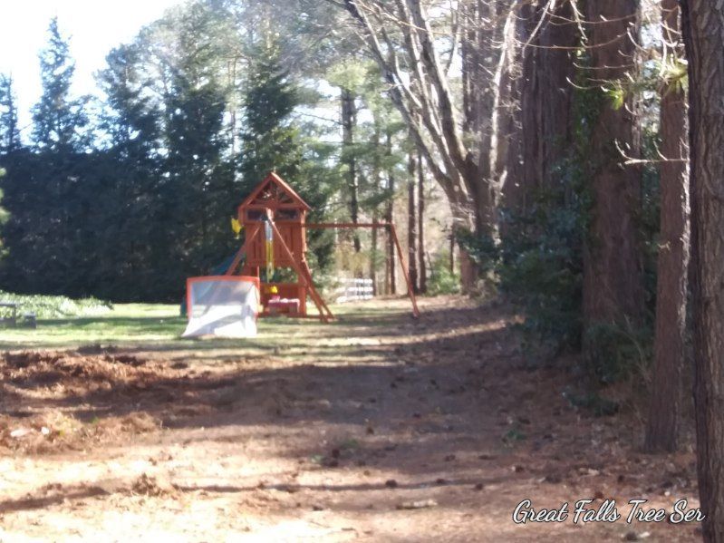 A playground in the middle of a forest with a sign that says ' coca cola ' on it