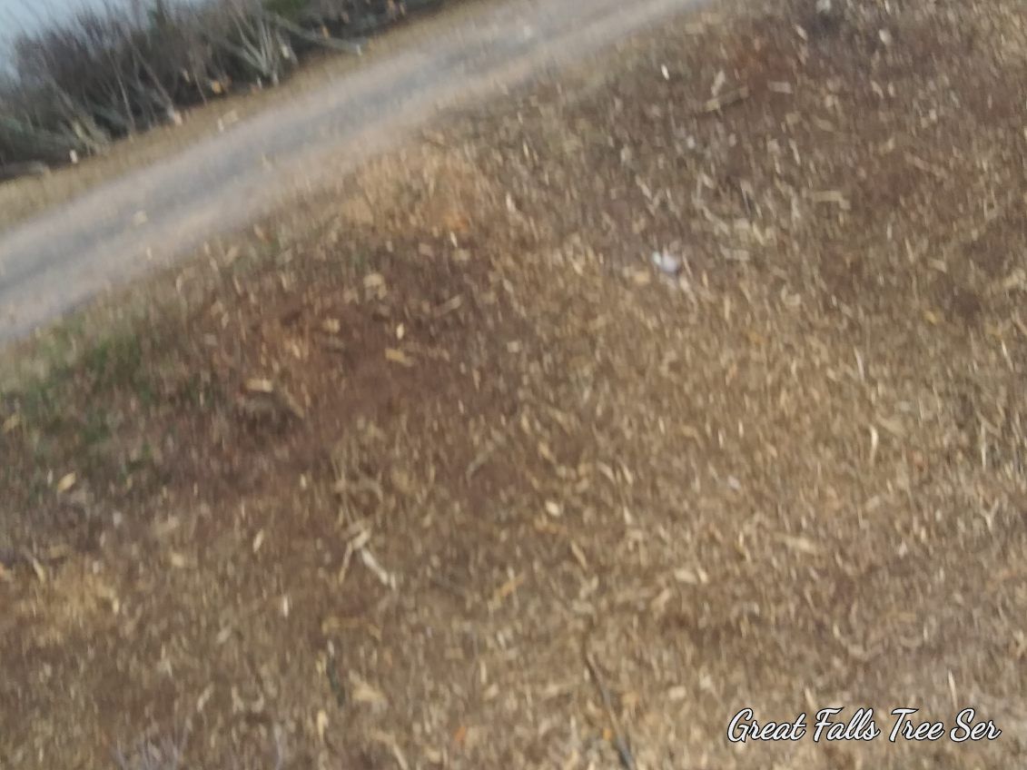 A dirt road going through a field of dry grass.