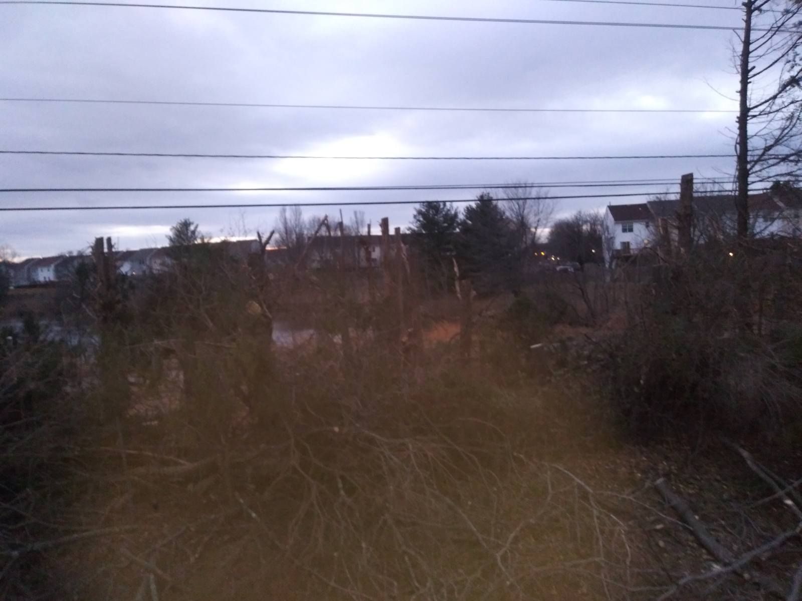 A field with trees and power lines in the background