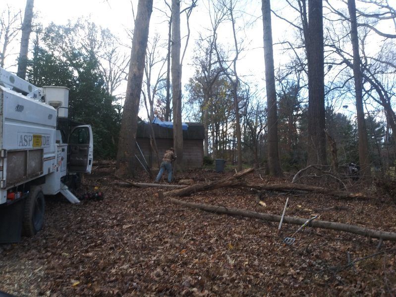 A white truck is parked in the middle of a forest.