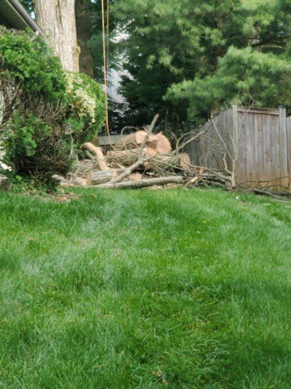 A pile of logs is sitting on top of a lush green lawn.