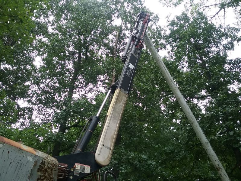A crane is hanging from a pole in the woods.