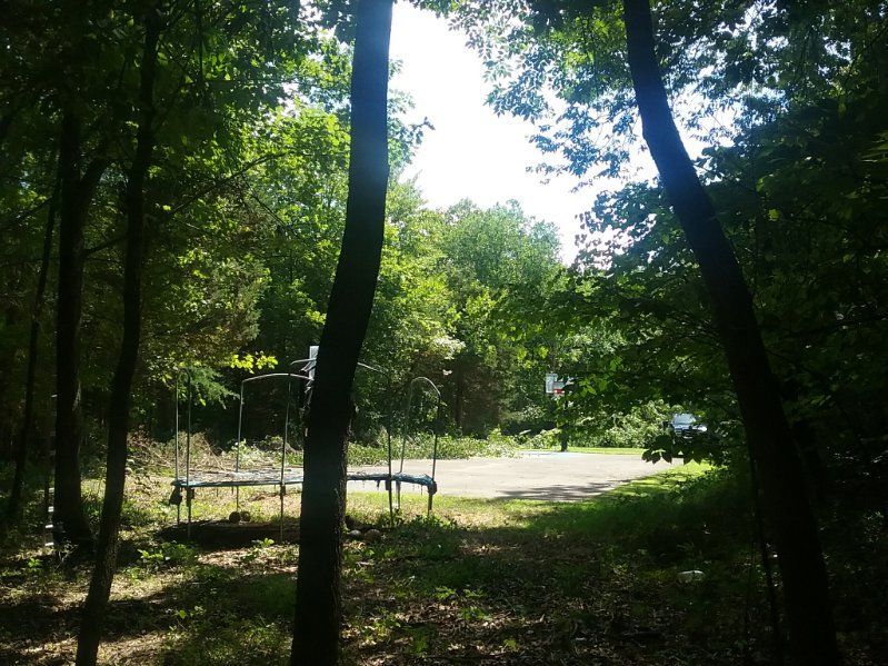 A basketball court in the middle of a forest
