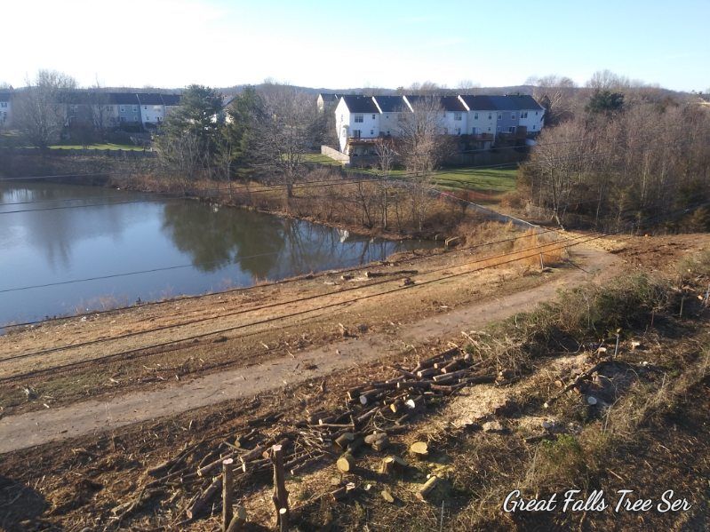 An aerial view of a lake with houses in the background