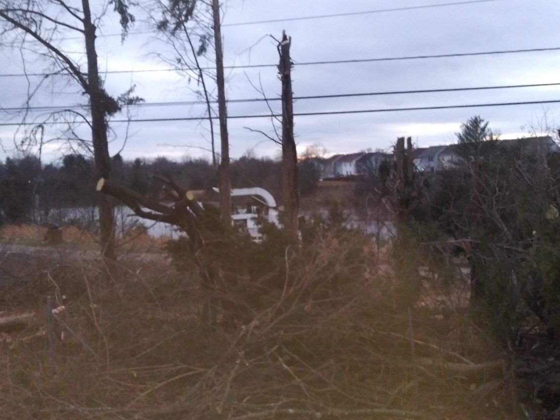 A fenced in area with trees and power lines in the background