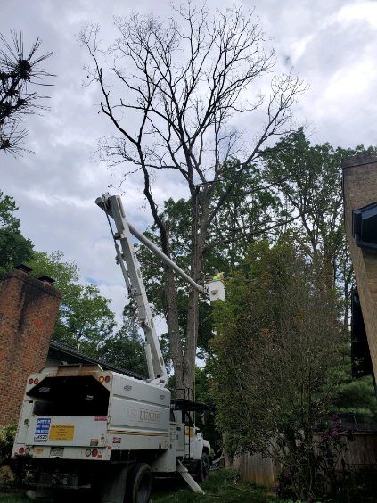 A tree cutting truck is cutting a tree in front of a house.