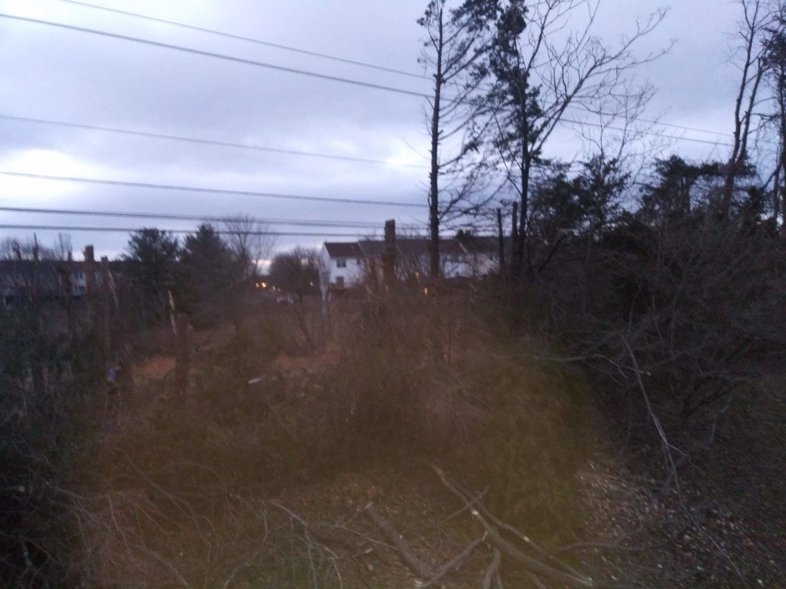 A fenced in area with trees and power lines in the background
