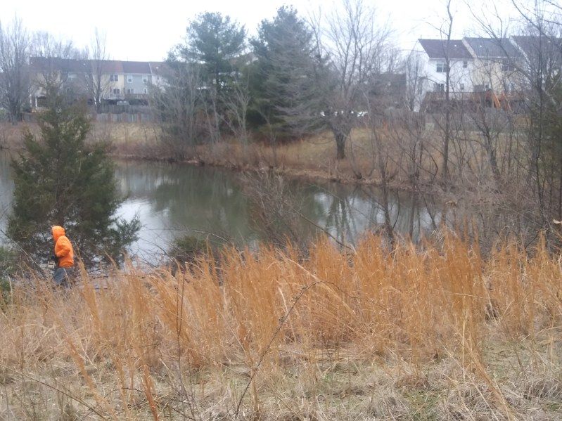 A man in an orange jacket is standing next to a lake.
