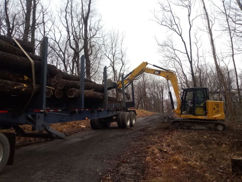 A bulldozer is loading logs onto a trailer in the woods.