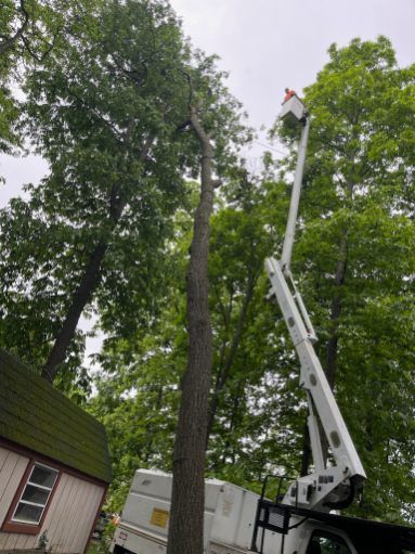 A crane is cutting a tree in front of a house.