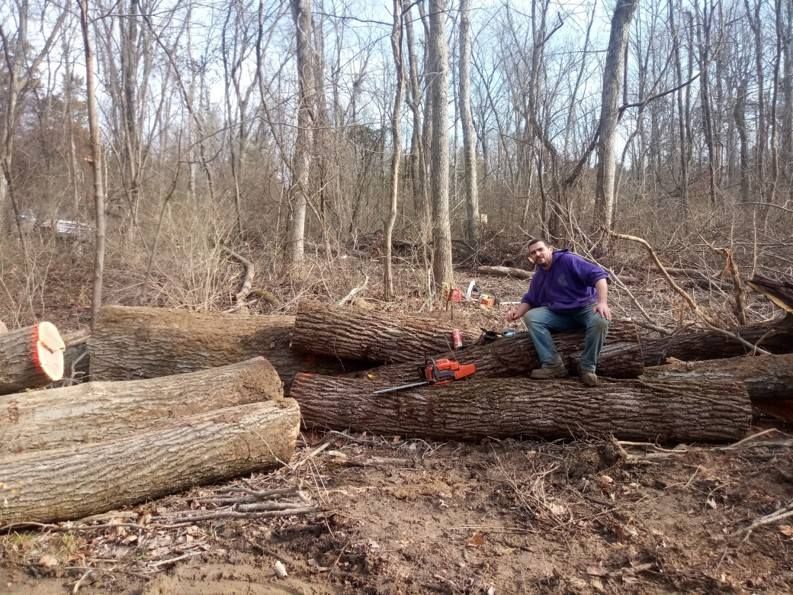 A man is sitting on a pile of logs in the woods.