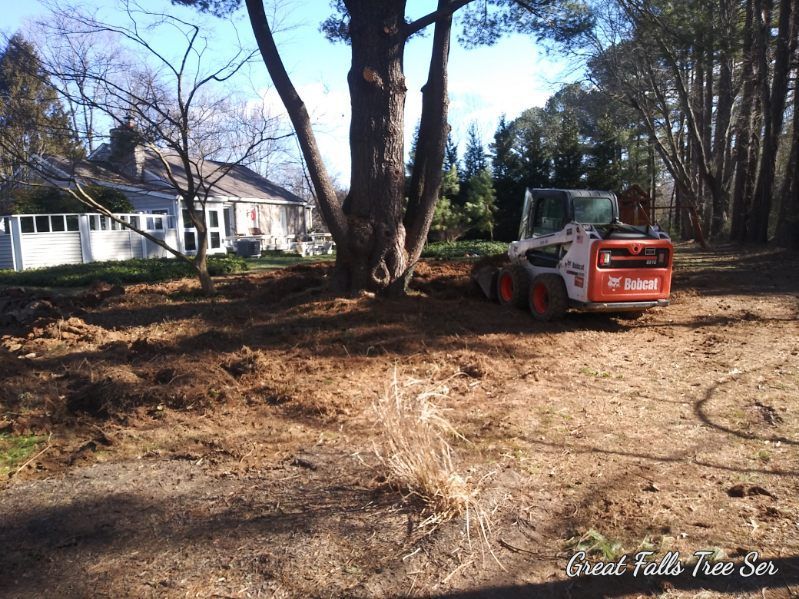 A bobcat is driving through a dirt field
