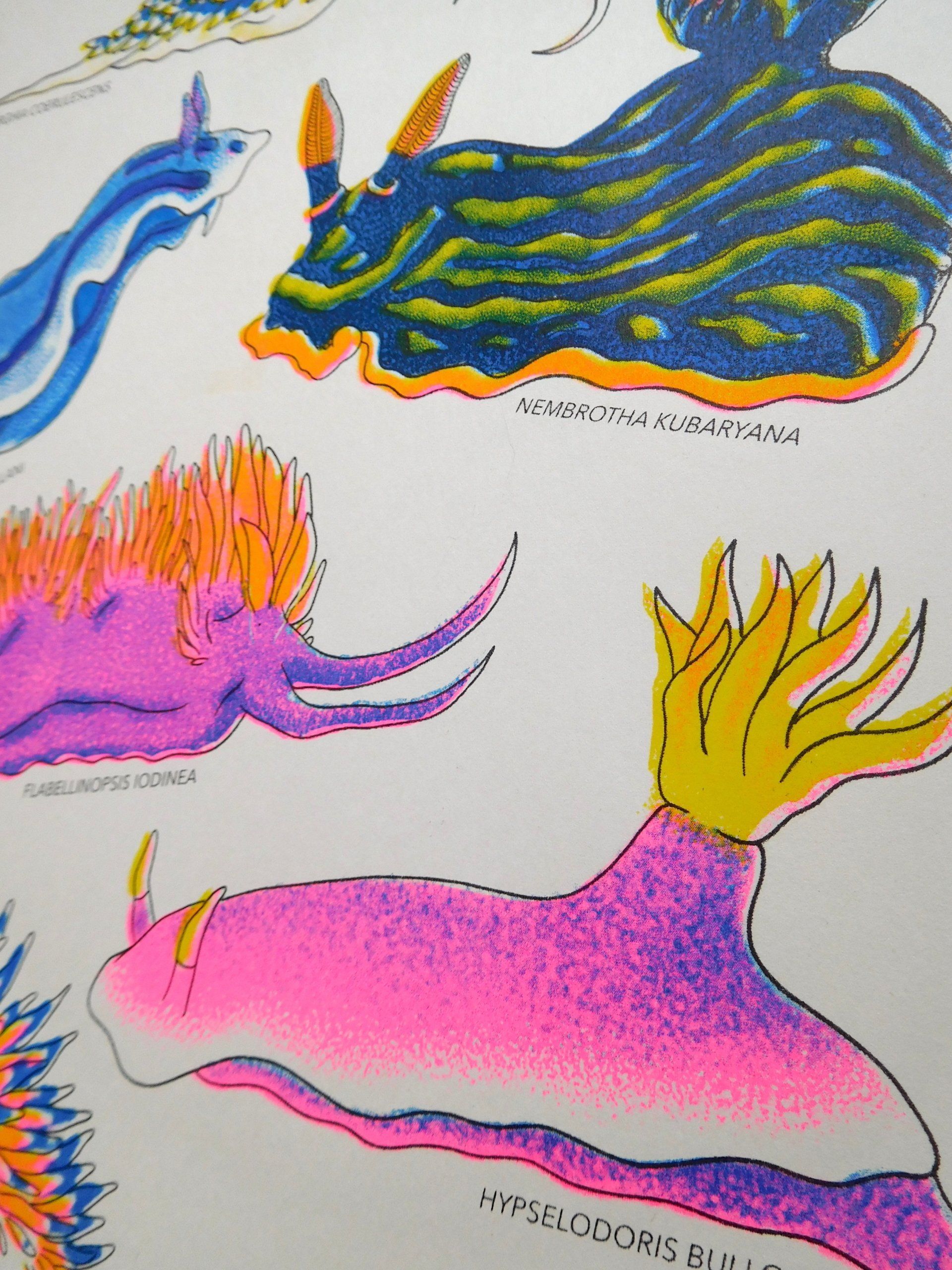Nudibranch illustration risograph print