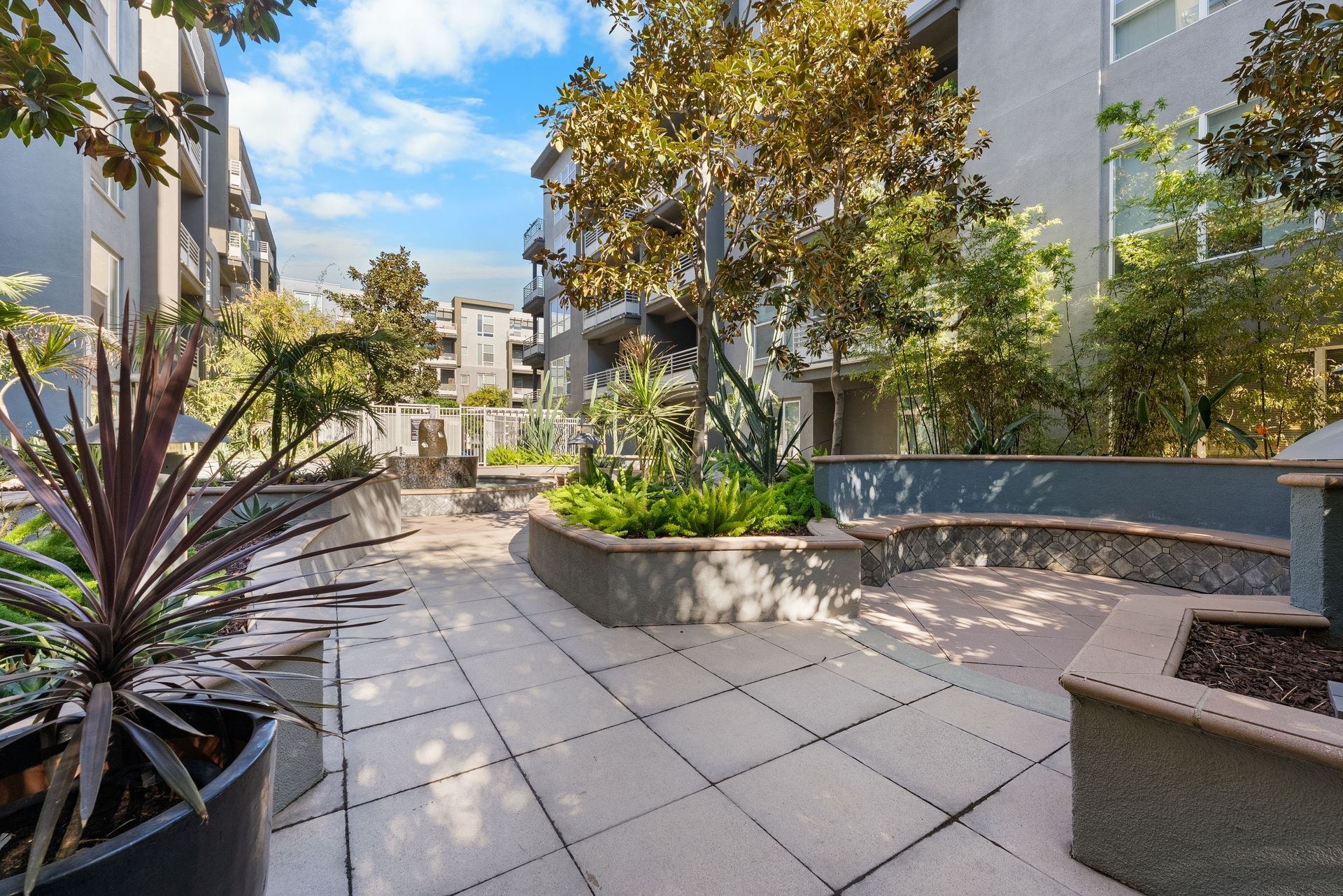 Photo of landscaping and pathway