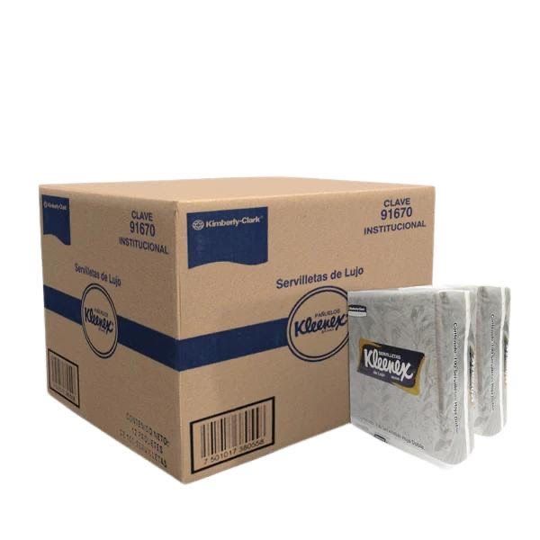 CORPORATIVO DE LIMPIEZA INDUSTRIAL QUERETARO