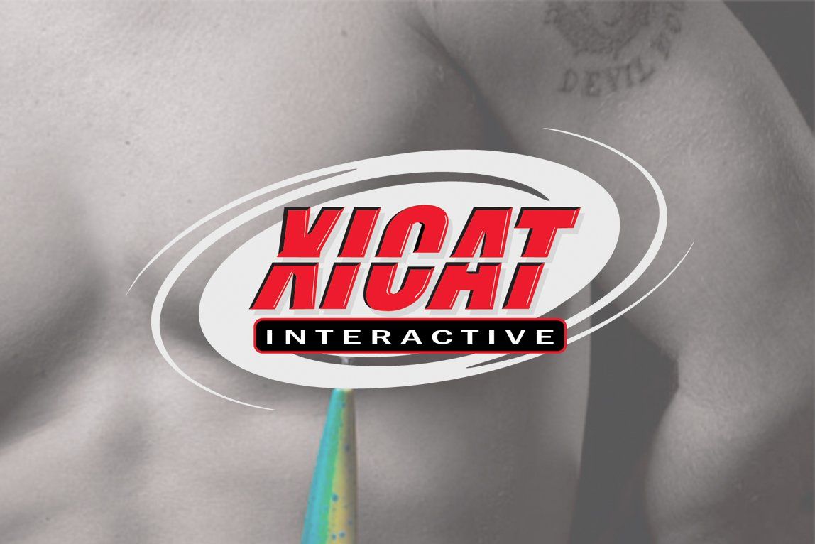 Xicat Interactive