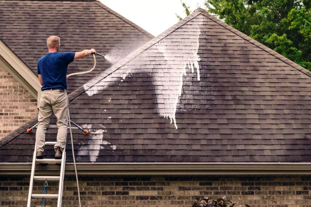 Man pressure washing a dark roof, cleaning away discoloration, standing on a ladder.