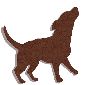 A silhouette of a brown dog standing on a white background