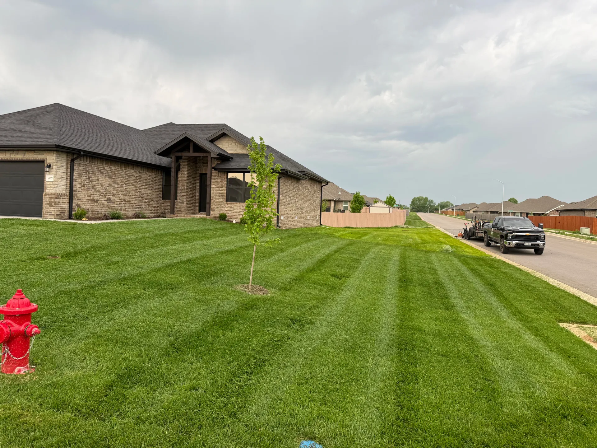 freshly mowed grass in springfield mo