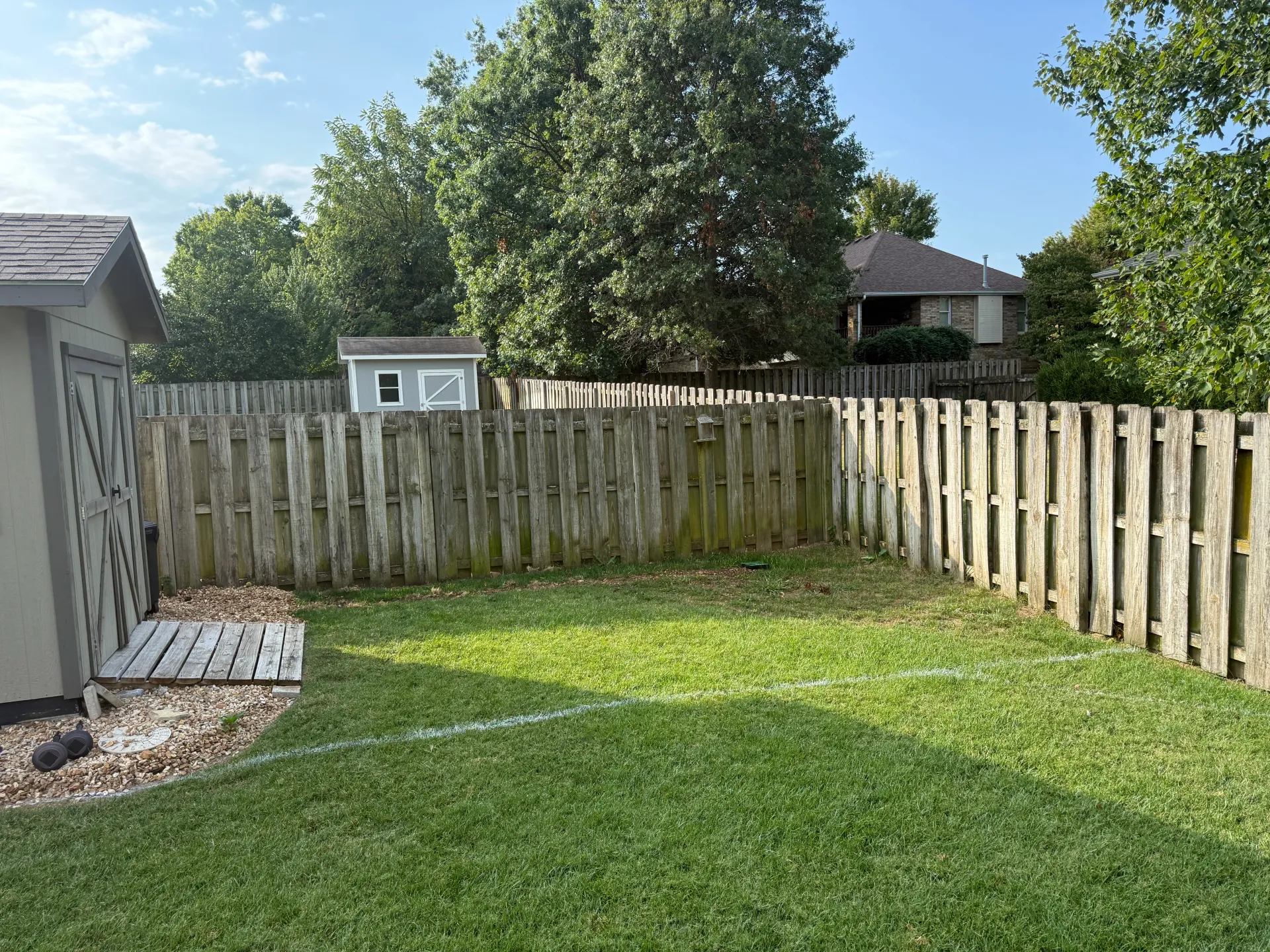 fresh mowed lawn springfield mo