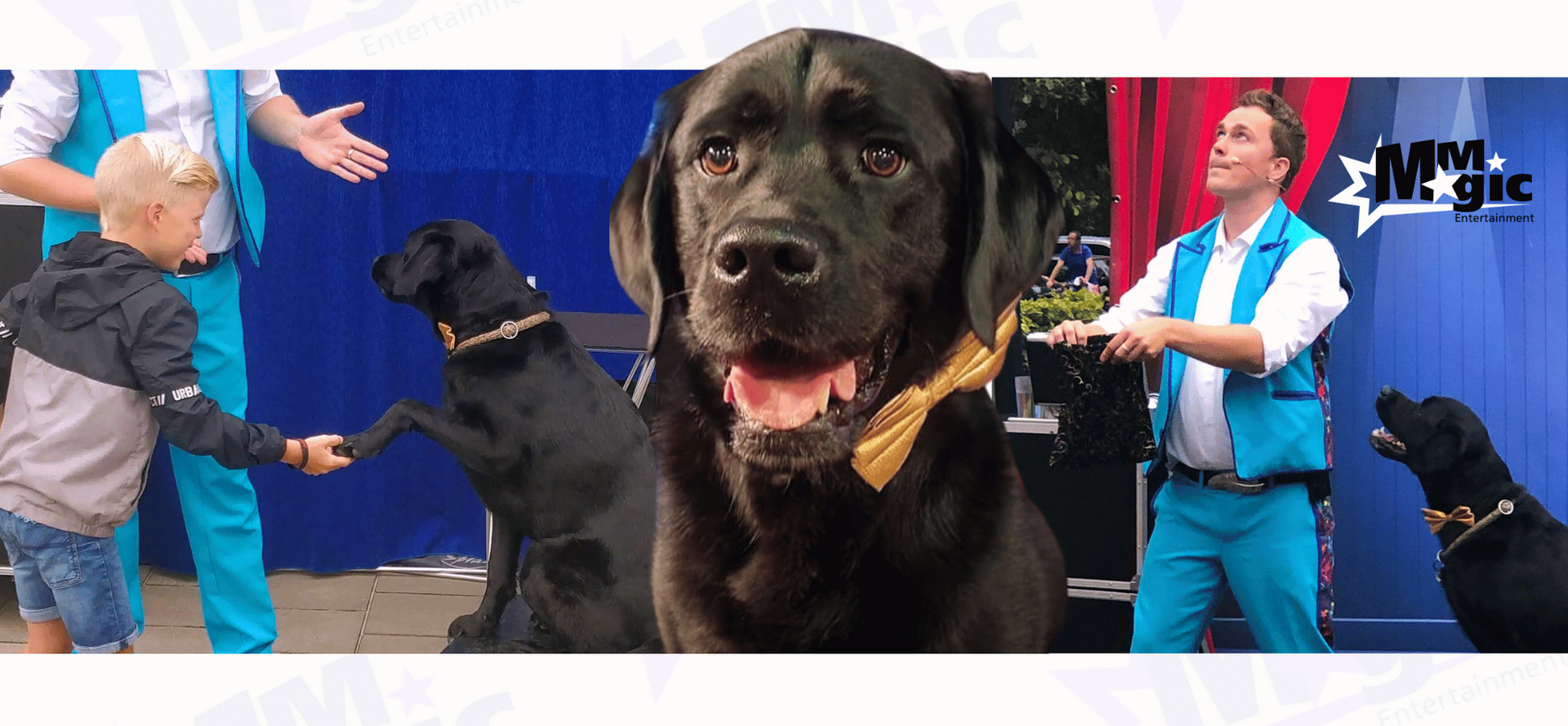 Goochelhond Chase schud hand met kind, lacht in het midden van de foto en doet een act