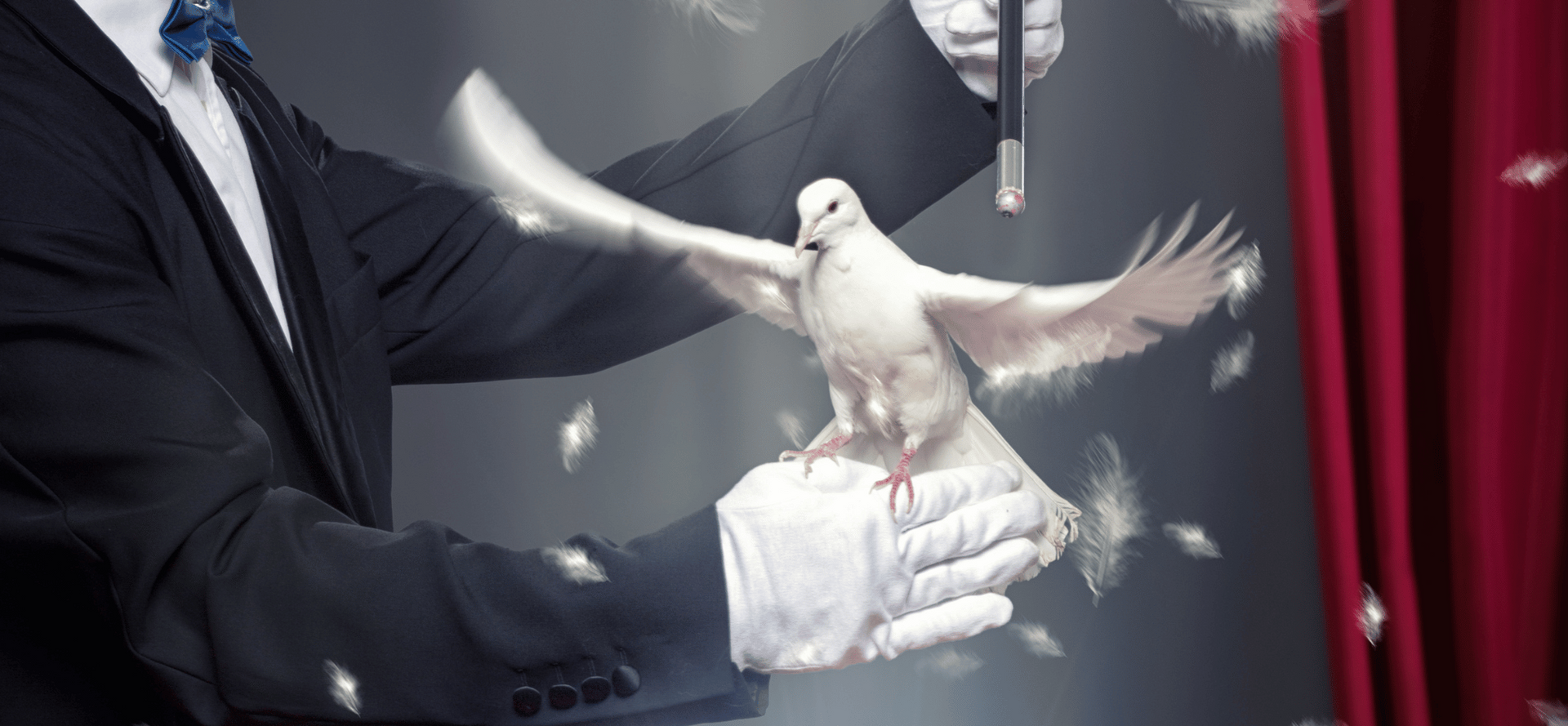 A man in a suit is holding a white pigeon in his hands.