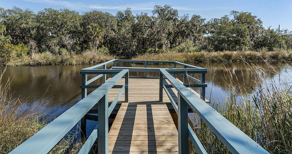 Wooden dock extending into calm water, leading to a natural landscape with trees under a blue sky.