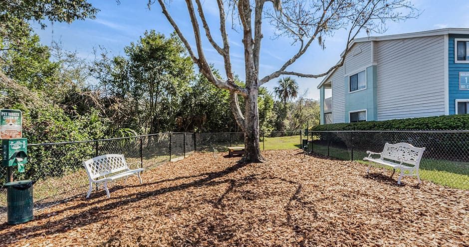 Dog park with two white benches, a tree, and a teal building in the background.