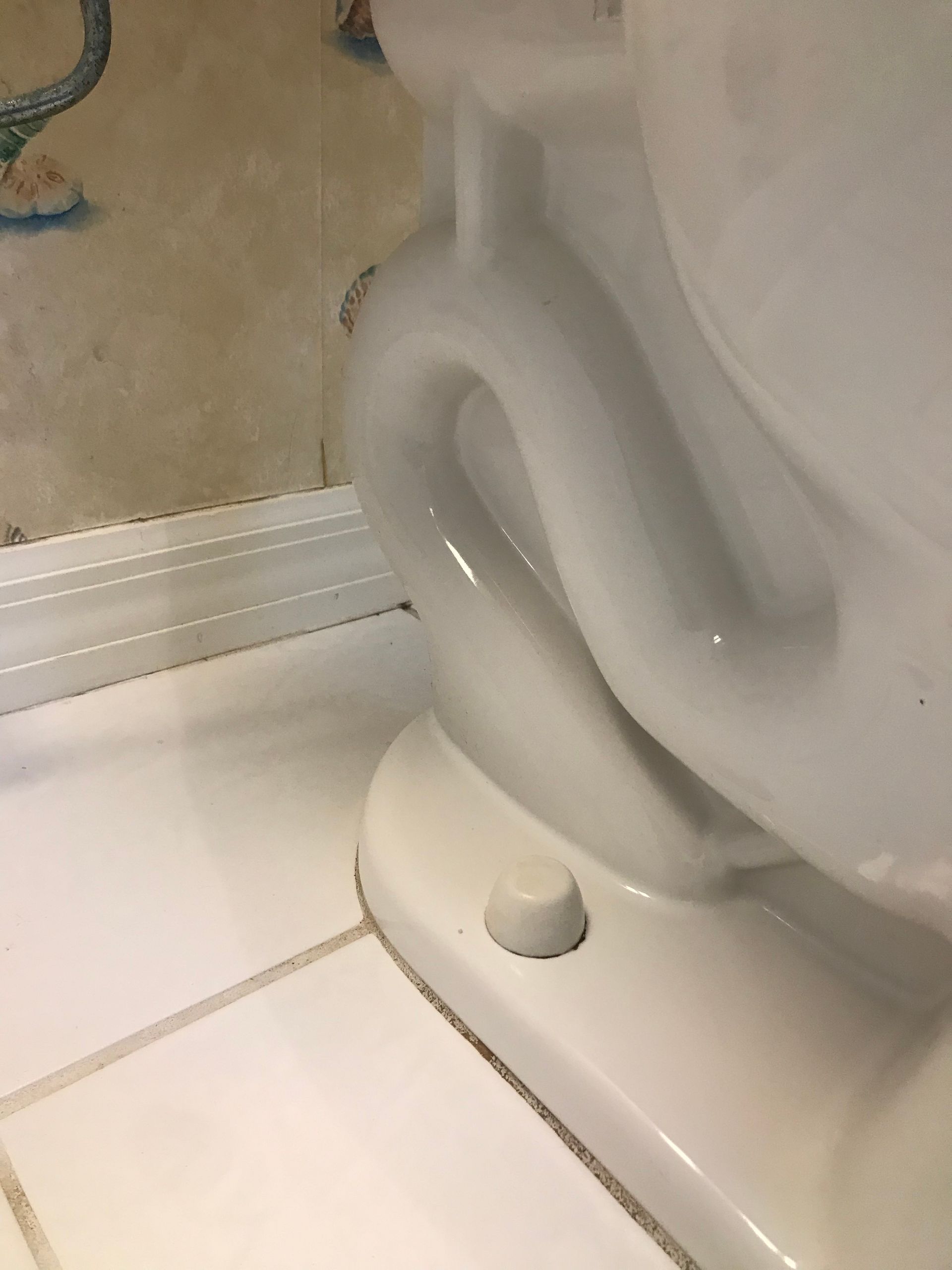 Clean toilet | Lutz, FL | Our Clean Home