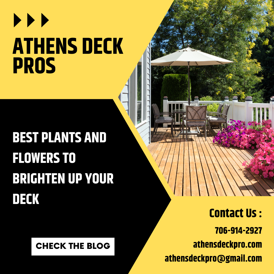 The best plants to brighten up your deck