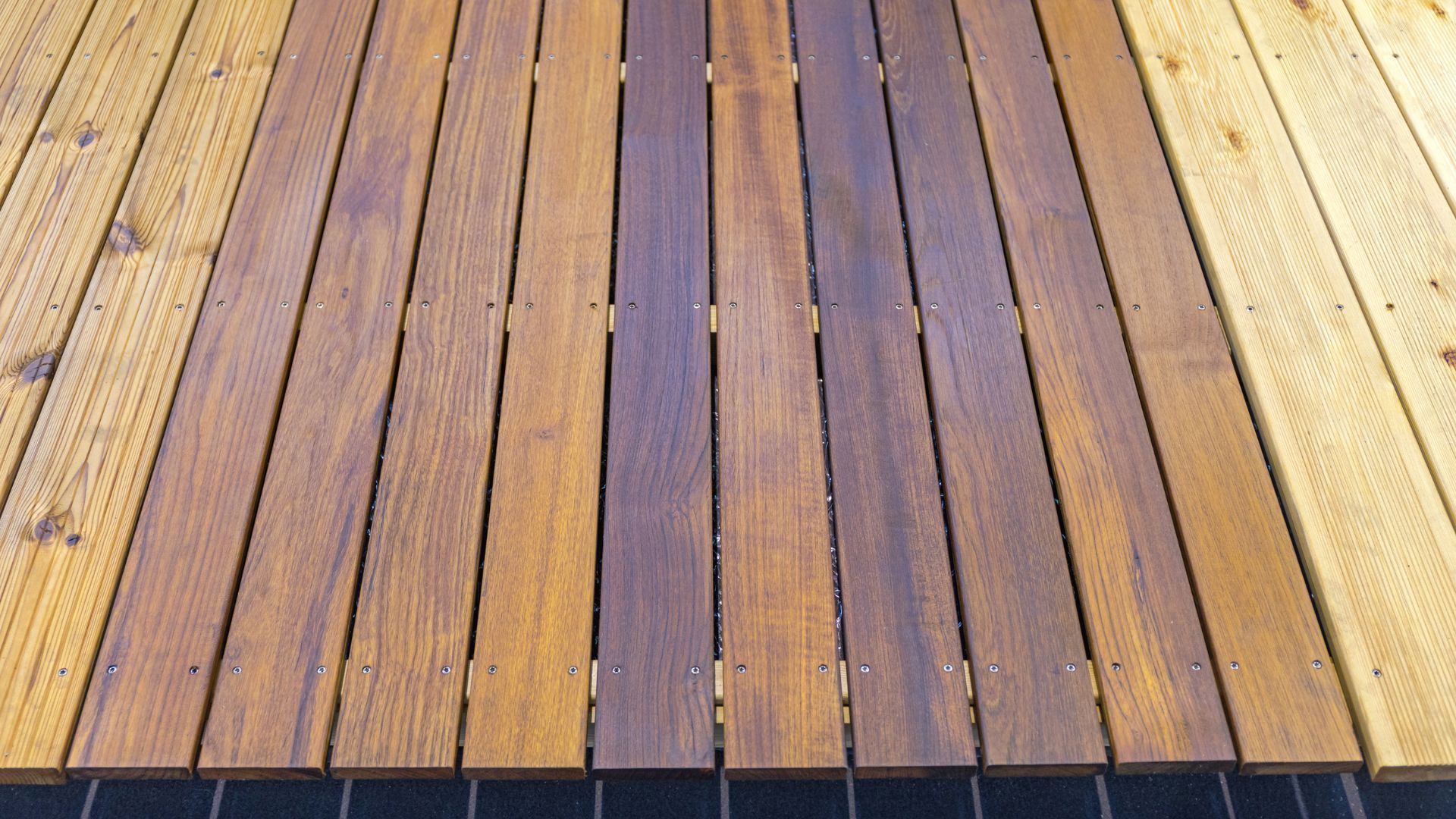 A close-up view of a freshly stained wooden deck in Athens, GA showcases a range of rich, vibrant wood tones. The planks exhibit various shades from light brown to deep amber, highlighting the natural grain and texture. Each plank is uniformly fastened with screws, indicating meticulous craftsmanship. The transition from the unstained to the stained sections of the deck is visible, emphasizing the transformation process and the care taken to enhance the wood's appearance and longevity.