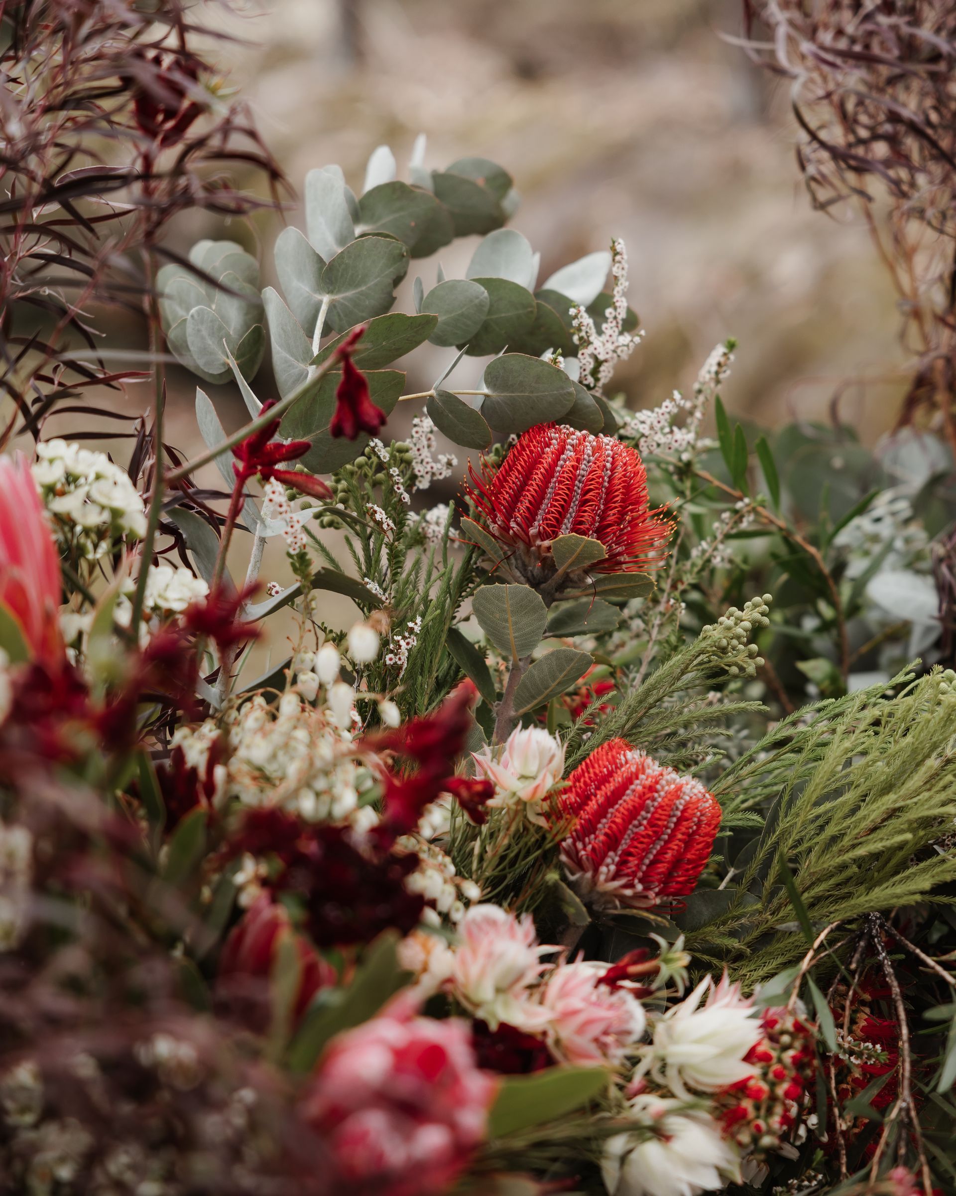 Red and pink flowers, eucalyptus, and greenery in a floral arrangement.