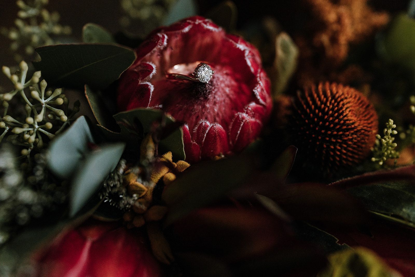 Diamond ring rests on a dark red protea flower, part of a floral arrangement.