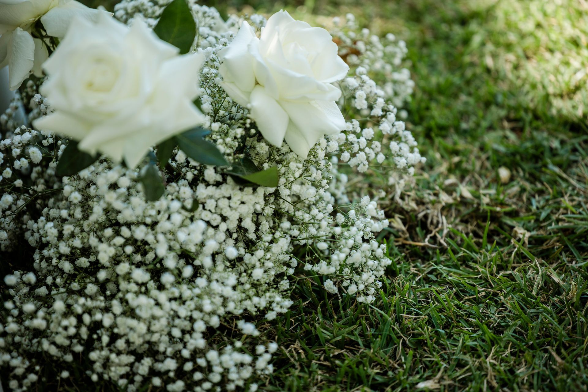 White roses and baby's breath flowers on green grass.