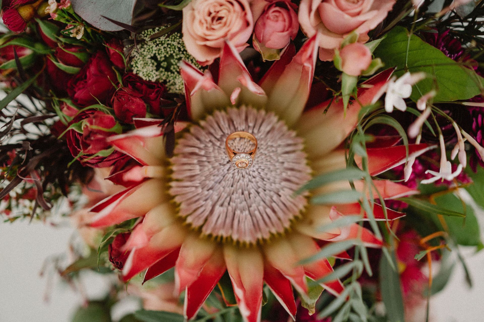 Close-up of a floral arrangement featuring a protea flower with rings nestled inside. Rich reds, pinks, and greenery.