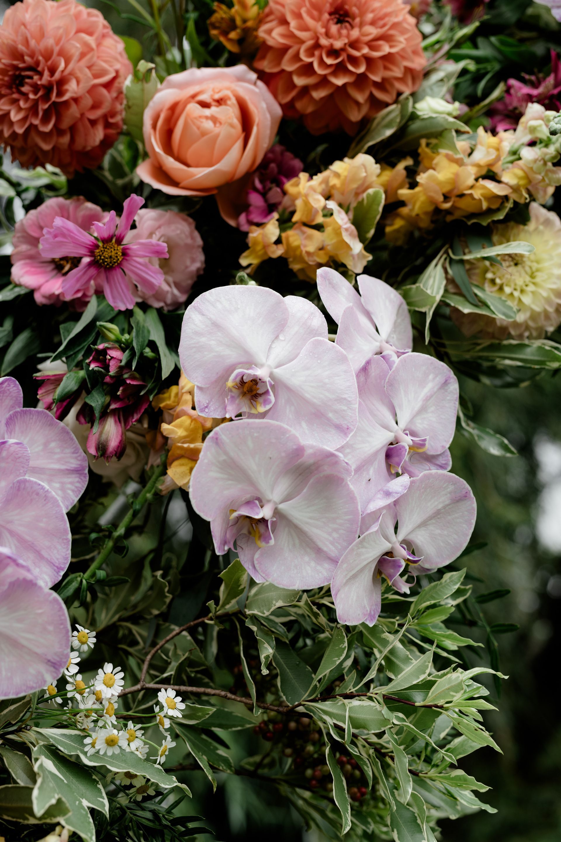 Close-up of a floral arrangement with light purple orchids, peach roses, and various colorful blooms.