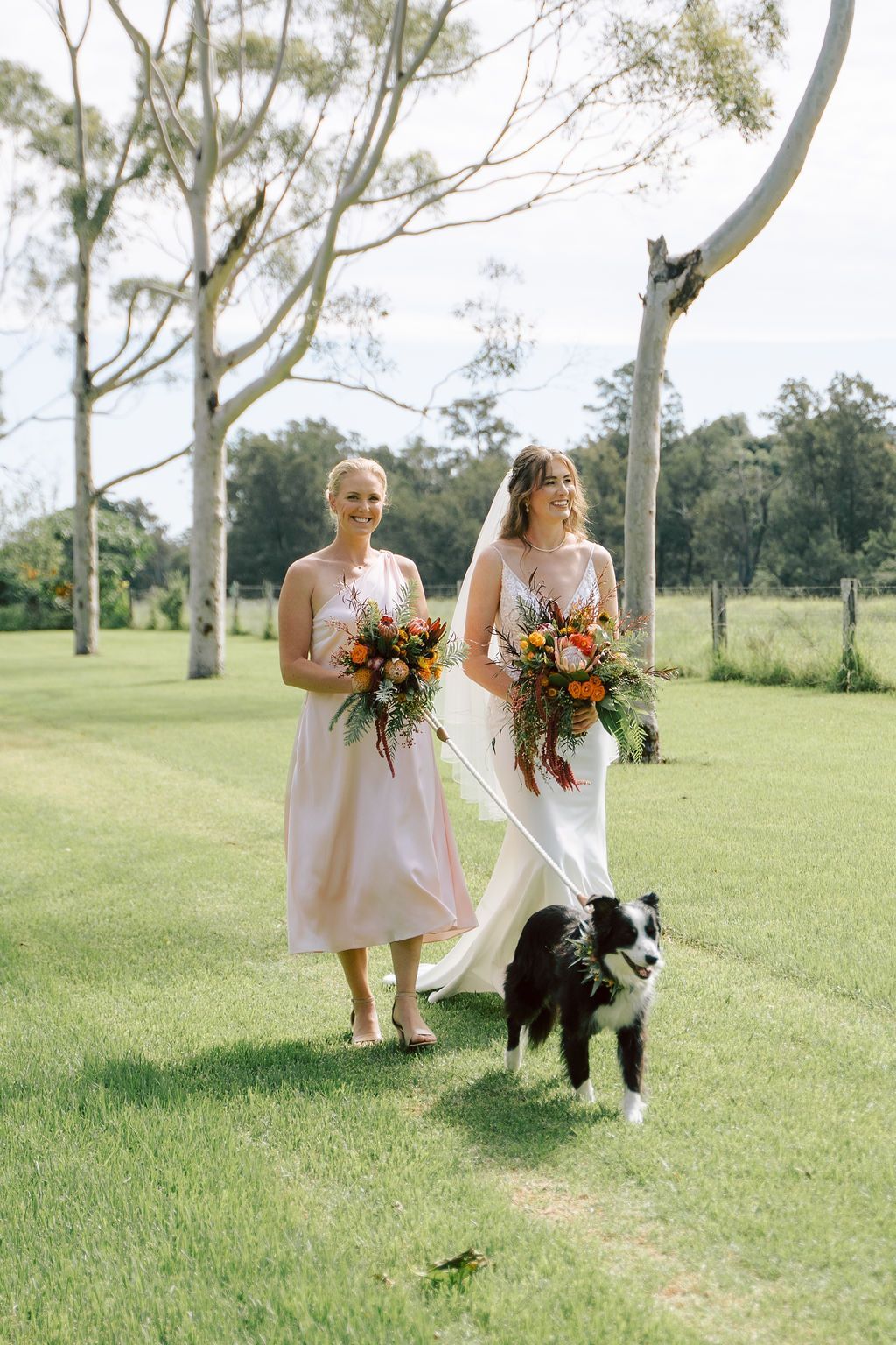 Bride and bridesmaid walk with a dog on a leash through a grassy field, carrying bouquets.
