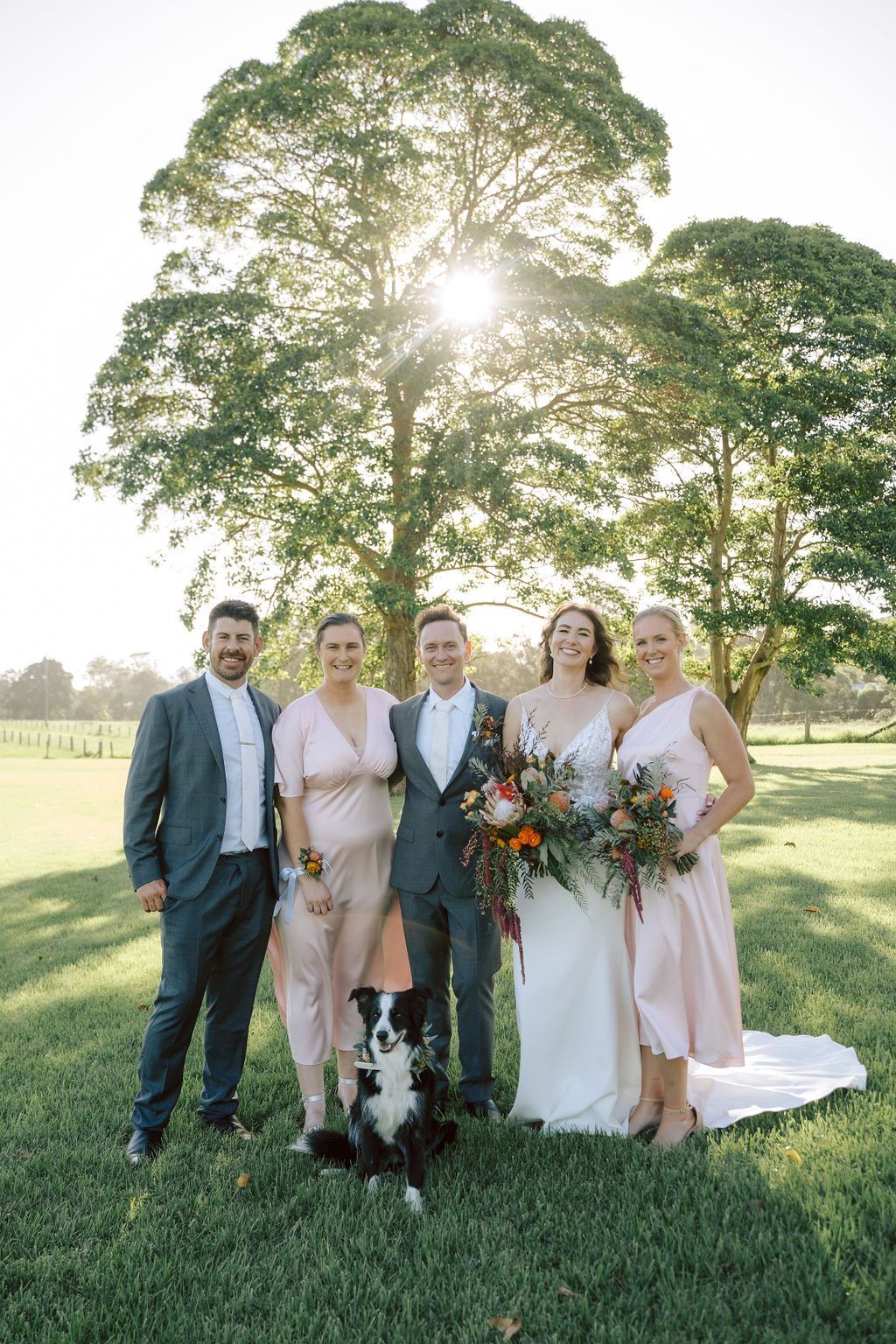 Wedding party in a sunlit field with a large tree. Bride, groom, two bridesmaids, best man, and a dog pose for a photo.