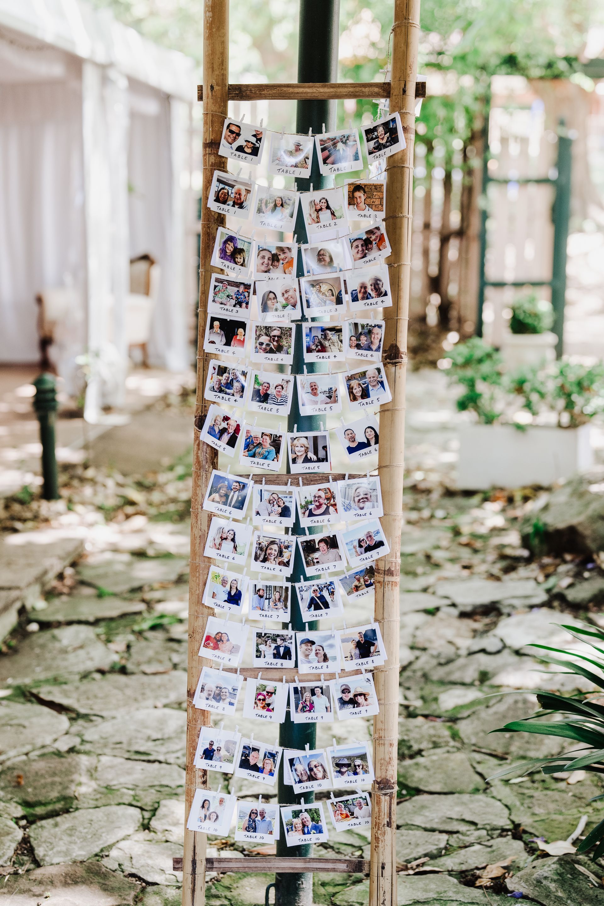 Bamboo ladder displaying many square photos; outdoor setting with a garden.