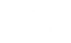Lobo Associates LLC  Logo - Select to go to home page