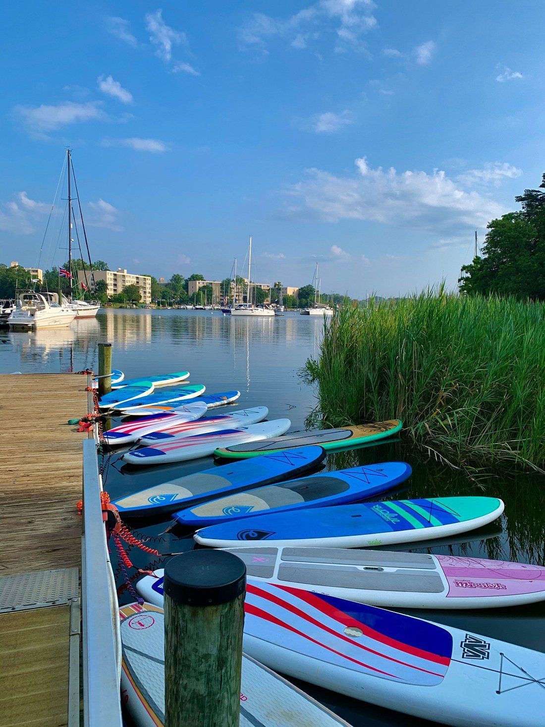 Paddle Board | Eastern Shore Natural Beauty | Covell Communities | Chester, Maryland 21619