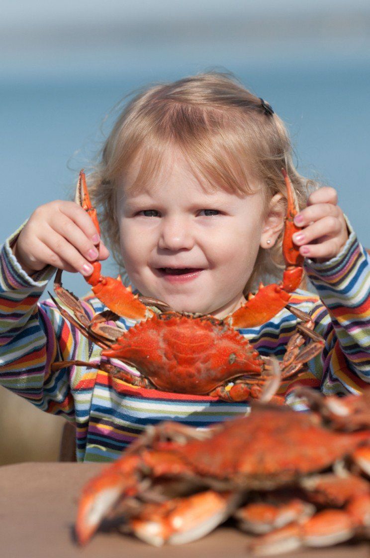Little girl holding crab | Eastern Shore Natural Beauty | Covell Communities | Chester, Maryland 21619