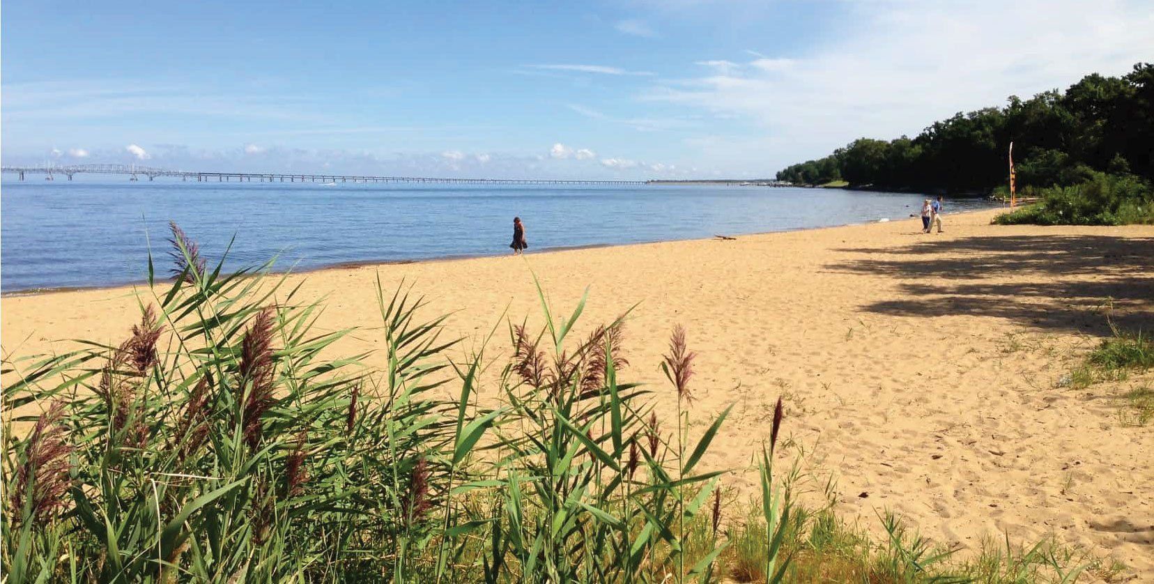 Long secluded beach | Eastern Shore Natural Beauty | Covell Communities | Chester, Maryland 21619