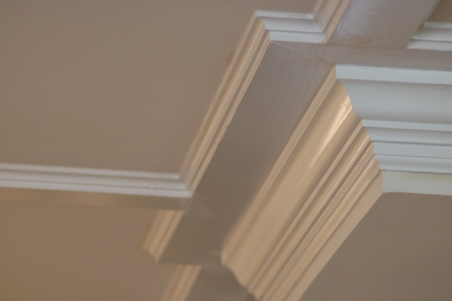 Crown molding detail | Trim | Covell Communities | Chester, Maryland 21619