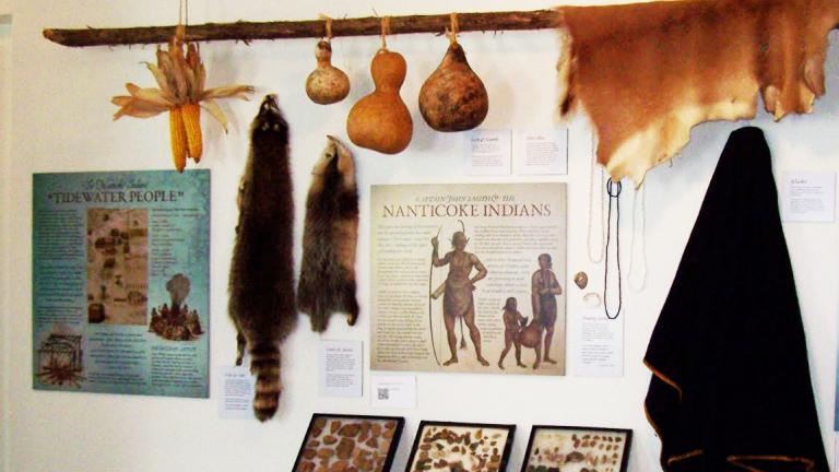 Native American items on wall | Eastern Shore History | Covell Communities | Chester, Maryland 21619
