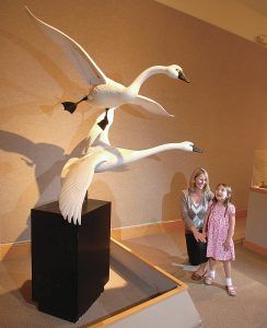 Family looking at waterfowl art | Eastern Shore Culture | Covell Communities | Chester, Maryland 21619