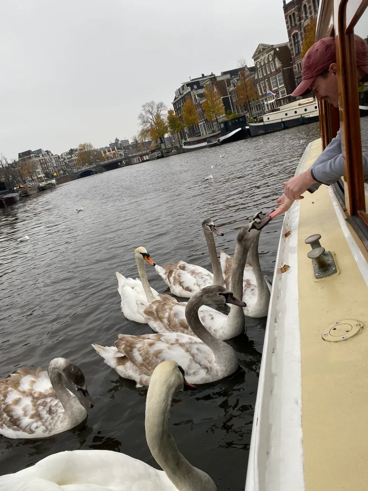 The Early Morning Cruise