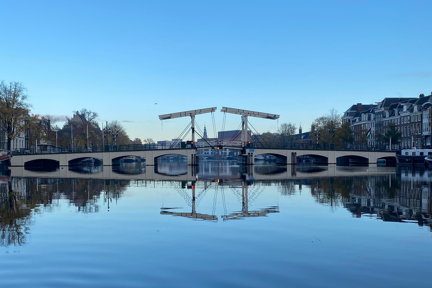 The Early Morning Cruise