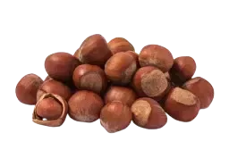 hazelnutts